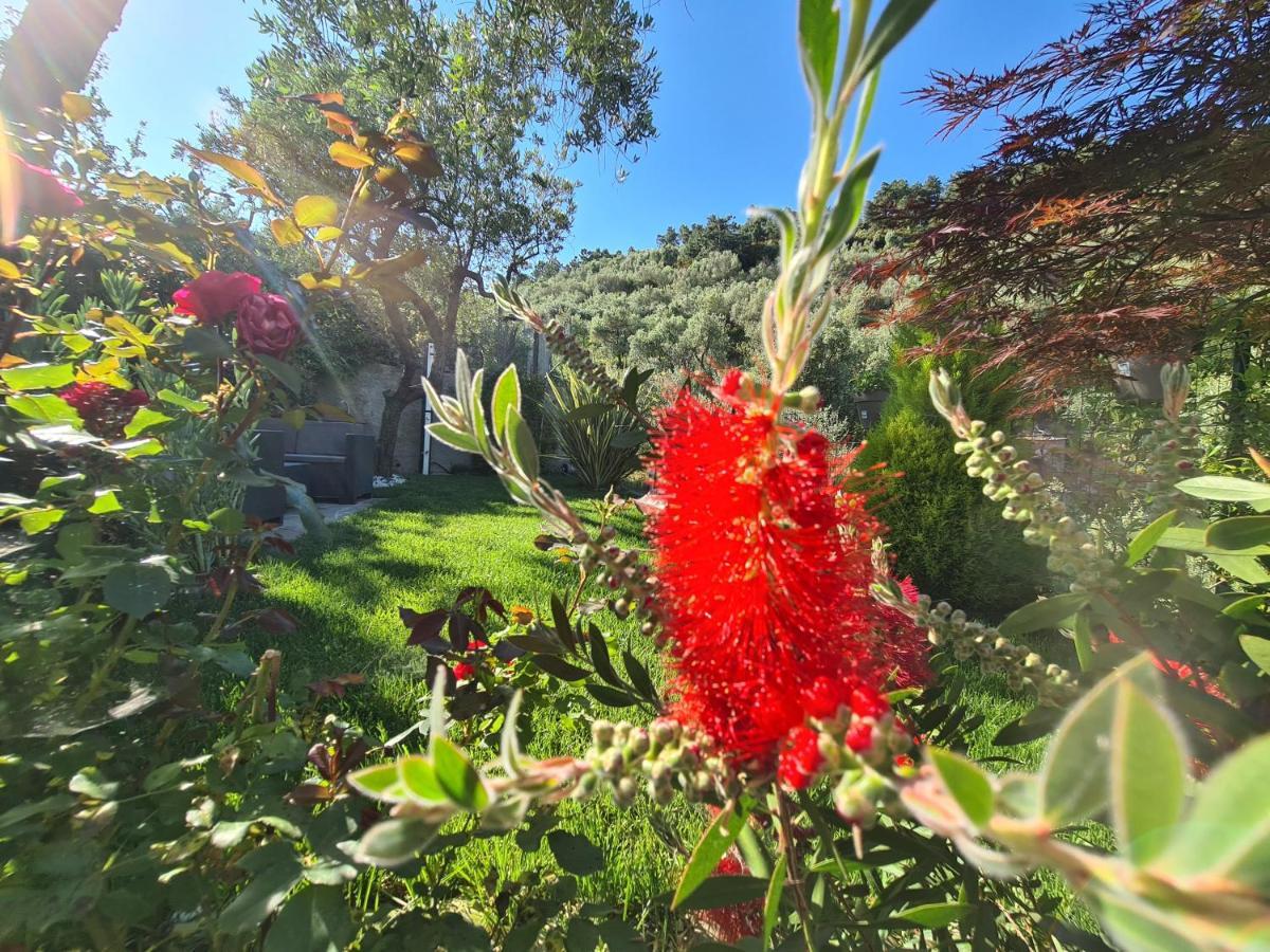הוילה וולאסטרה The Garden מראה חיצוני תמונה