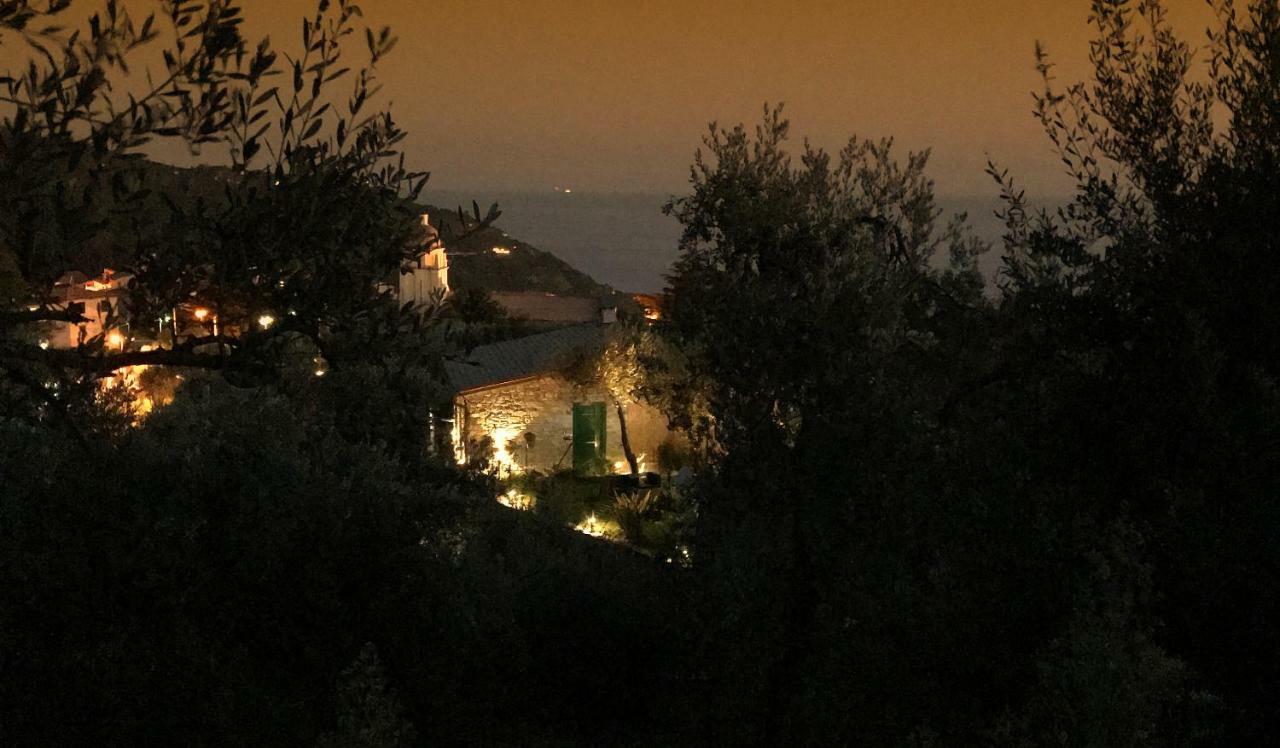 הוילה וולאסטרה The Garden מראה חיצוני תמונה